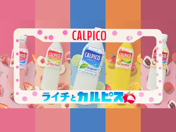 White Calpico Lychee license plate frame with Japanese text, bottle lineup and lychee fruit graphic